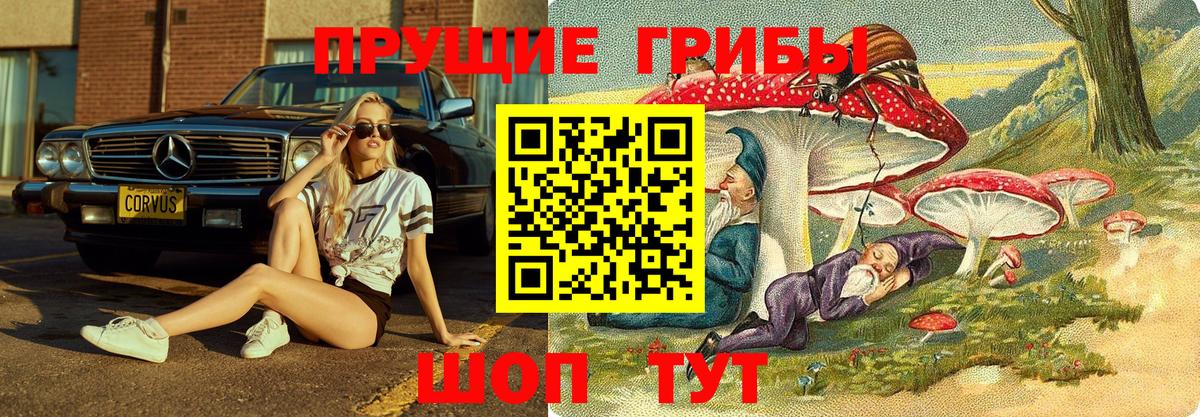 Псилоцибиновые грибы GOLDEN TEACHER Зеленодольск